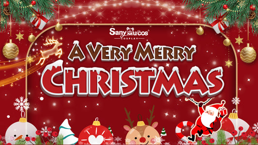 Merry Christmas SanyMuCos Cosplay Ideas 2023