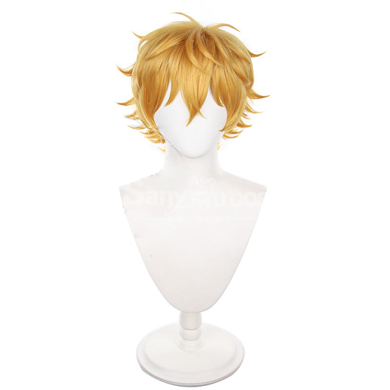 【In Stock】Anime Wind Breaker Cosplay Akihiko Nirei Cosplay Wig Cosplay Wigs