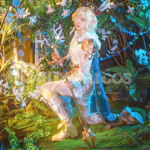 【Pre-Sale】Game Identity V Cosplay Grave Keeper Half-Elf Knight Cosplay Costume Cosplay Costumes