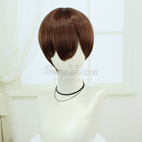 【In Stock】Anime Delicious In Dungeon Cosplay Chilchuck Wig Wigs