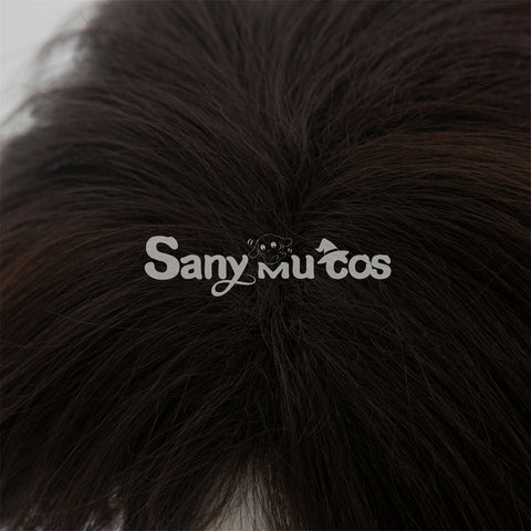 Game Honor of Kings Cosplay Sang Qi Cosplay Wig