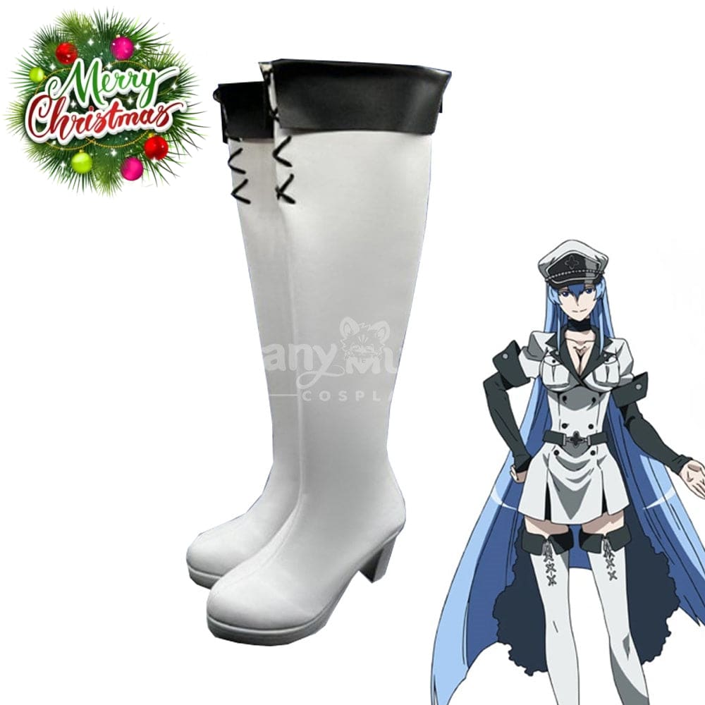 Anime Akame Ga Kill! Cosplay Esdeath Shoes Boots