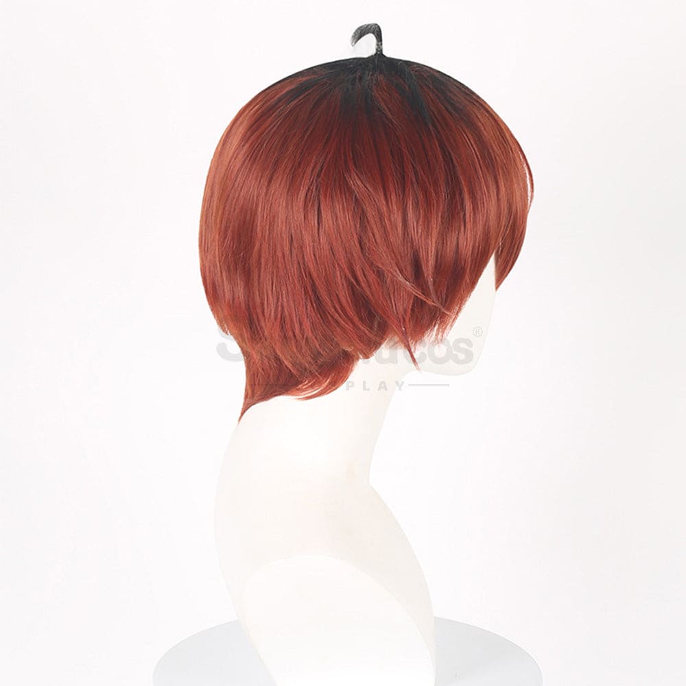 Anime Frieren: Beyond Journey’s End Cosplay Stark Wig Wigs