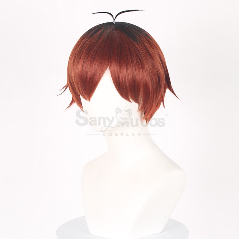 Anime Frieren: Beyond Journey’s End Cosplay Stark Wig Wigs