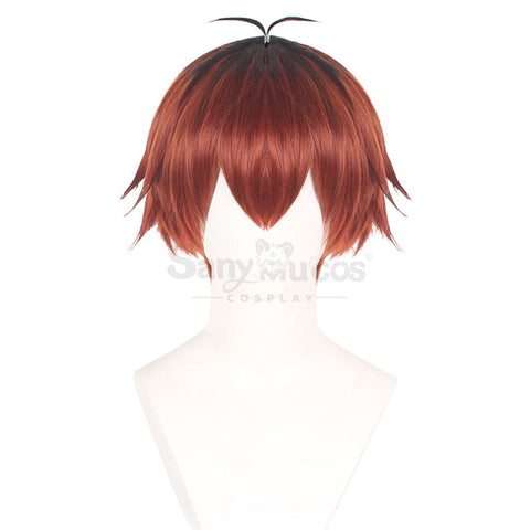 Anime Frieren: Beyond Journey’s End Cosplay Stark Wig Wigs