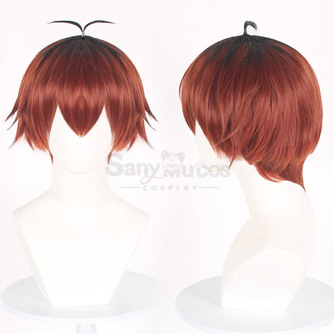 Anime Frieren: Beyond Journey’s End Cosplay Stark Wig Wigs