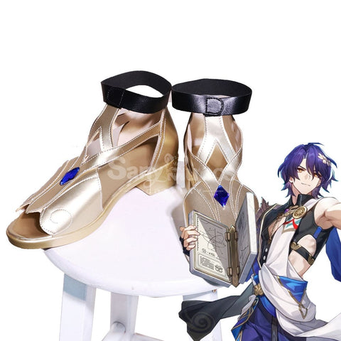 Game Honkai: Star Rail Cosplay Dr. Ratio Shoes Boots