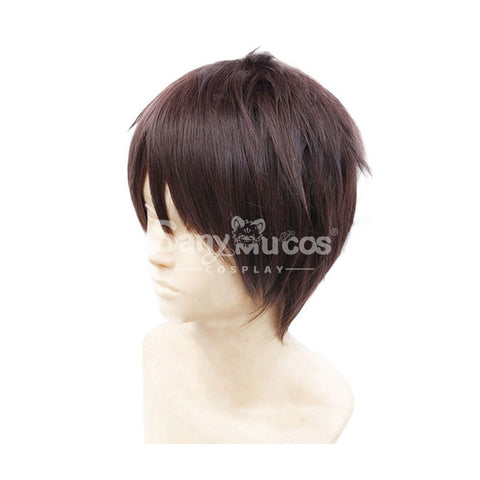 【In Stock】Anime Attack On Titan Cosplay Eren Jaeger Wig Wigs