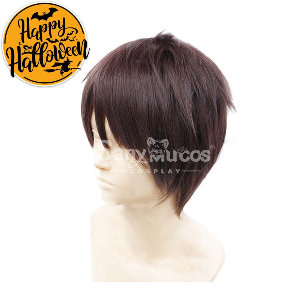 【In Stock】Anime Attack On Titan Cosplay Eren Jaeger Wig Wigs