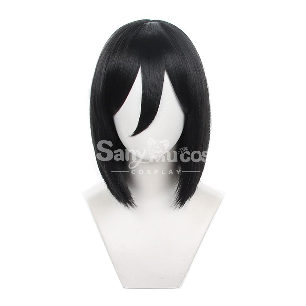 【In Stock】Anime Attack On Titan Cosplay Mikasa Ackerman Wig Wigs