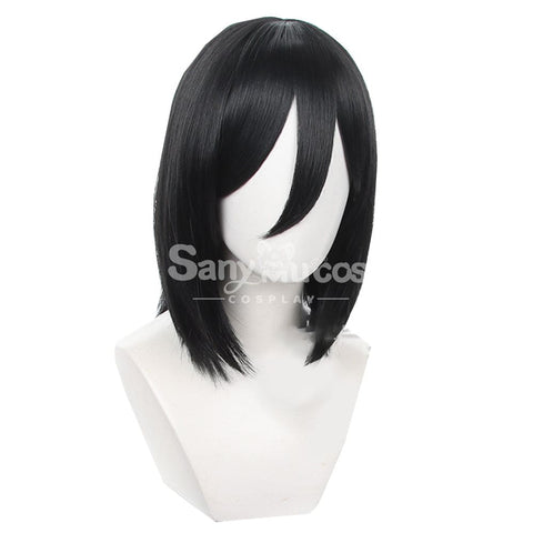 【In Stock】Anime Attack On Titan Cosplay Mikasa Ackerman Wig Wigs