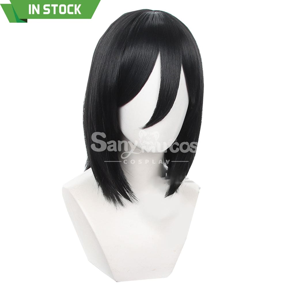 【In Stock】Anime Attack On Titan Cosplay Mikasa Ackerman Wig Wigs