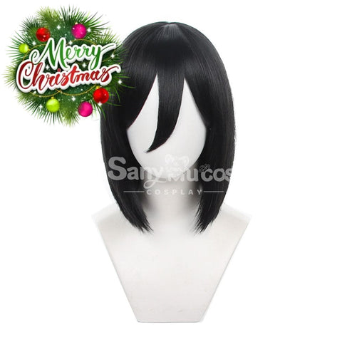 【In Stock】Anime Attack On Titan Cosplay Mikasa Ackerman Wig Wigs