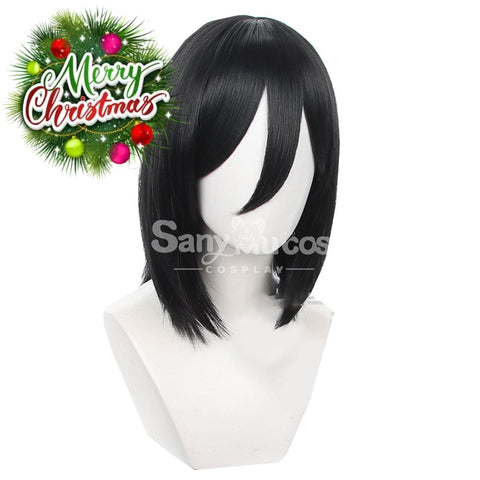 【In Stock】Anime Attack On Titan Cosplay Mikasa Ackerman Wig Wigs