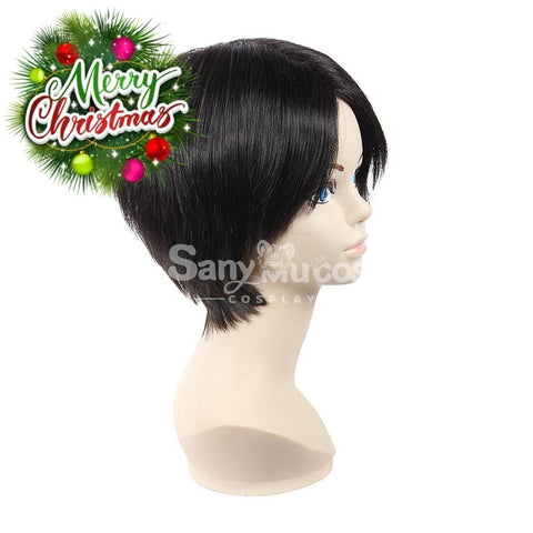 【In Stock】Anime Attack On Titan Cosplay Rivaille Ackerman Wig Wigs