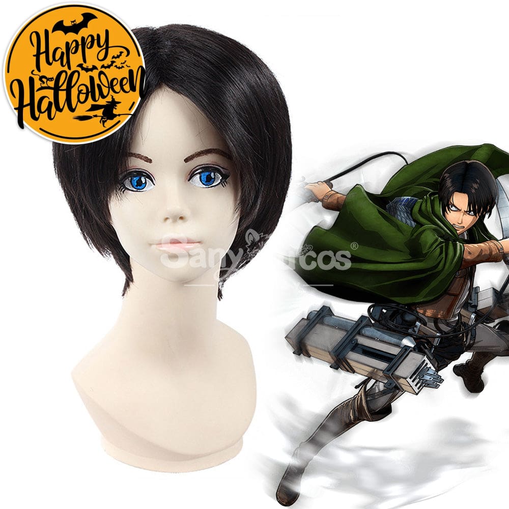 【In Stock】Anime Attack On Titan Cosplay Rivaille Ackerman Wig Wigs