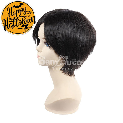 【In Stock】Anime Attack On Titan Cosplay Rivaille Ackerman Wig Wigs