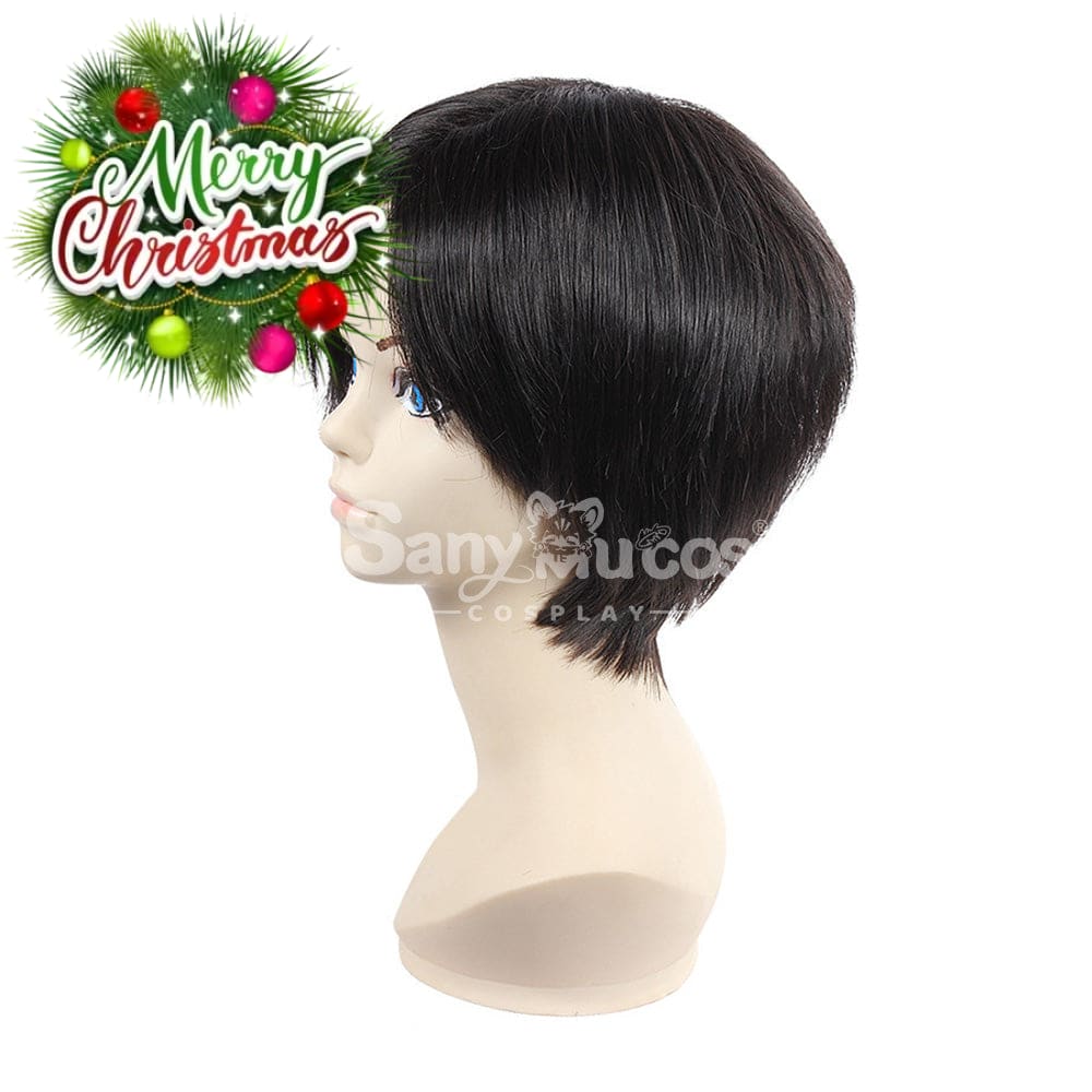 【In Stock】Anime Attack On Titan Cosplay Rivaille Ackerman Wig Wigs