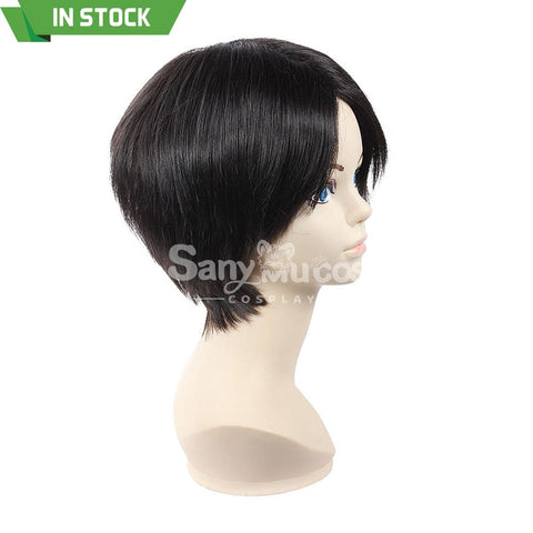 【In Stock】Anime Attack On Titan Cosplay Rivaille Ackerman Wig Wigs