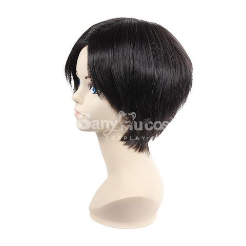 【In Stock】Anime Attack On Titan Cosplay Rivaille Ackerman Wig Wigs