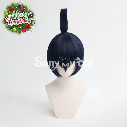 Anime Chainsaw Man Hayakawa Aki Cosplay Wig Short Blue Wig 1000