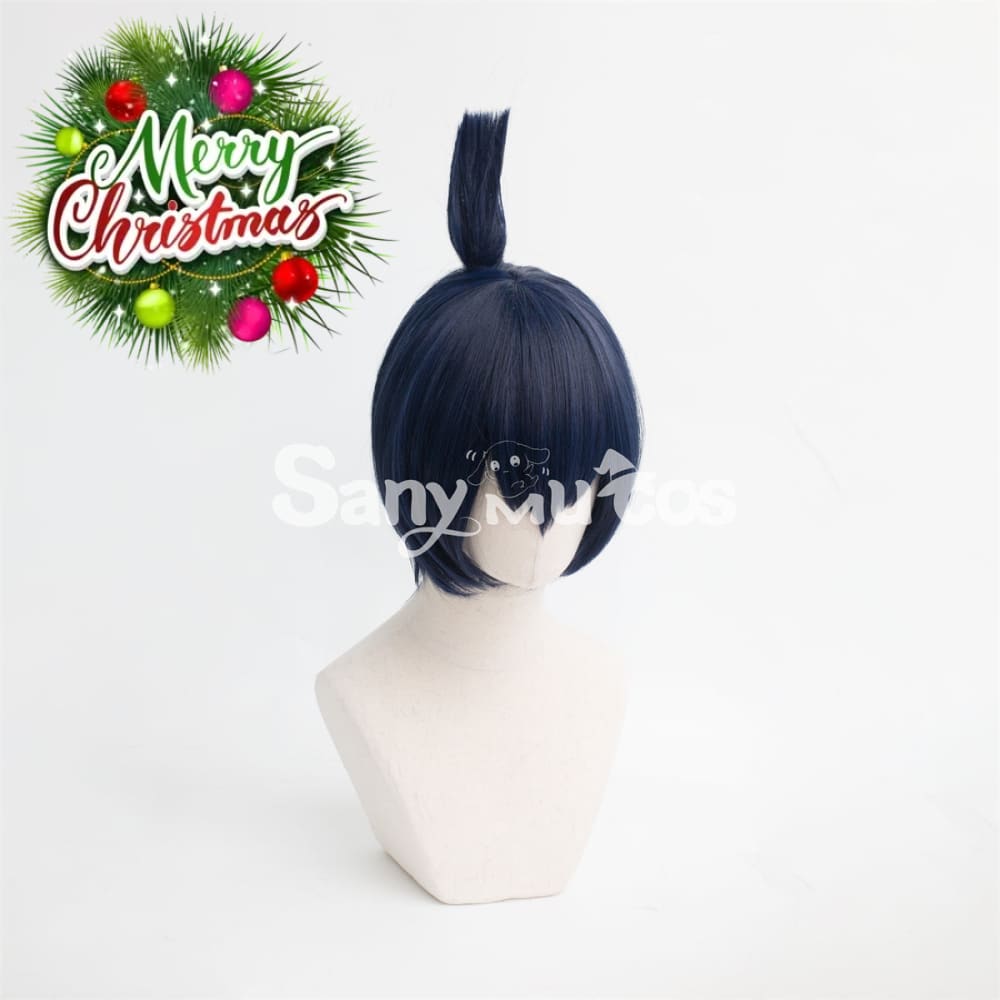 Anime Chainsaw Man Hayakawa Aki Cosplay Wig Short Blue Wig