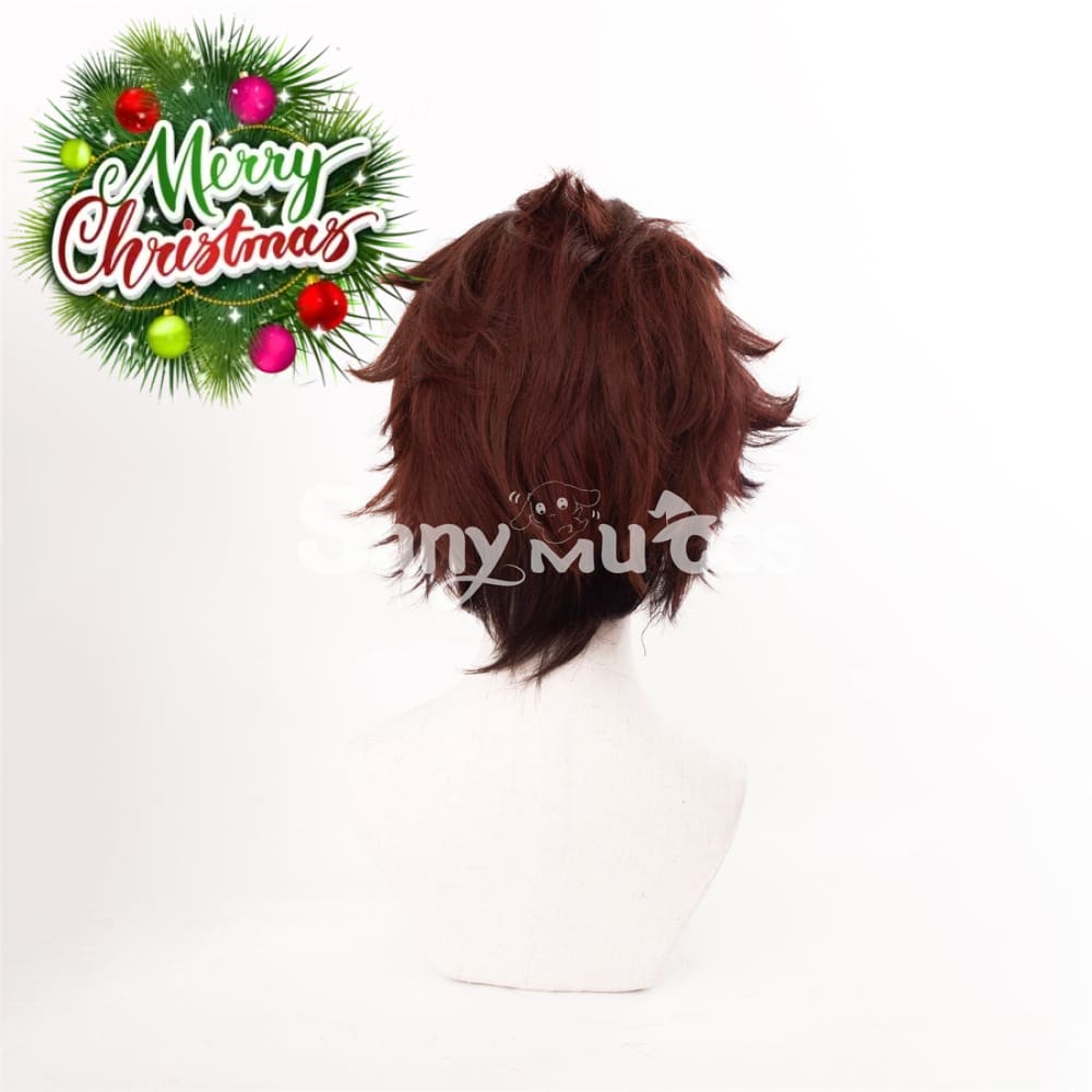 Anime Demon Slayer: Kimetsu no Yaiba Kamado Tanjirou Cosplay Wig