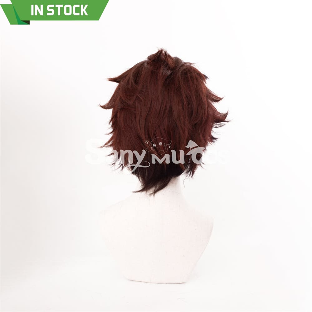 Anime Demon Slayer: Kimetsu no Yaiba Kamado Tanjirou Cosplay Wig