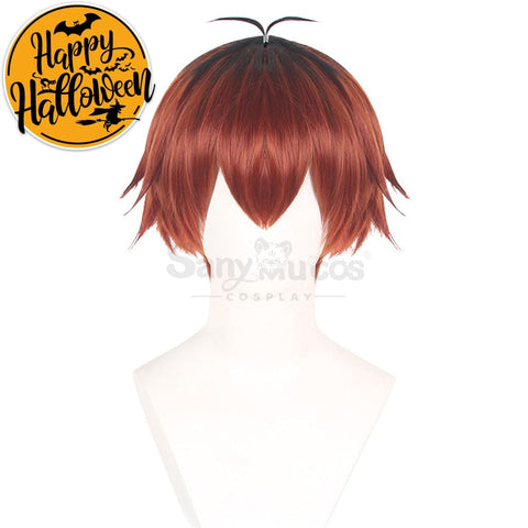 Anime Frieren: Beyond Journey’s End Cosplay Stark Wig Wigs