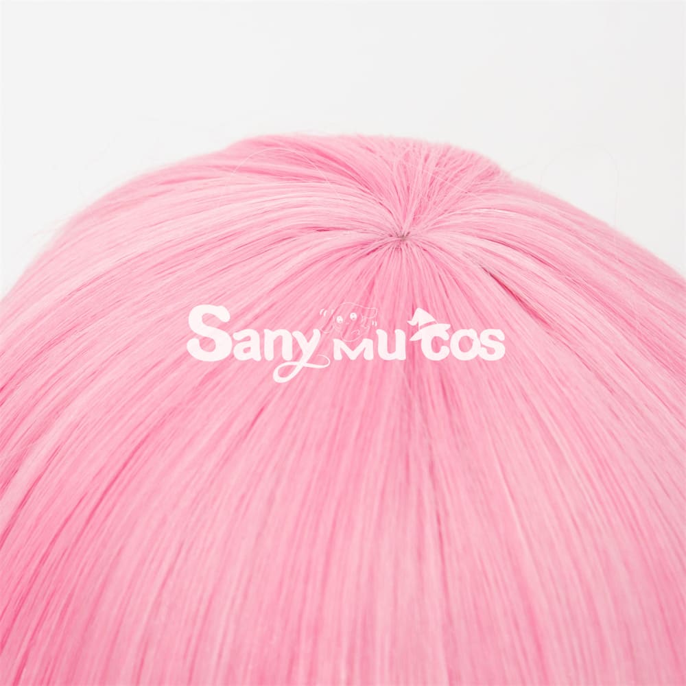 Anime Re Zero cosplay Rame cosplay wig