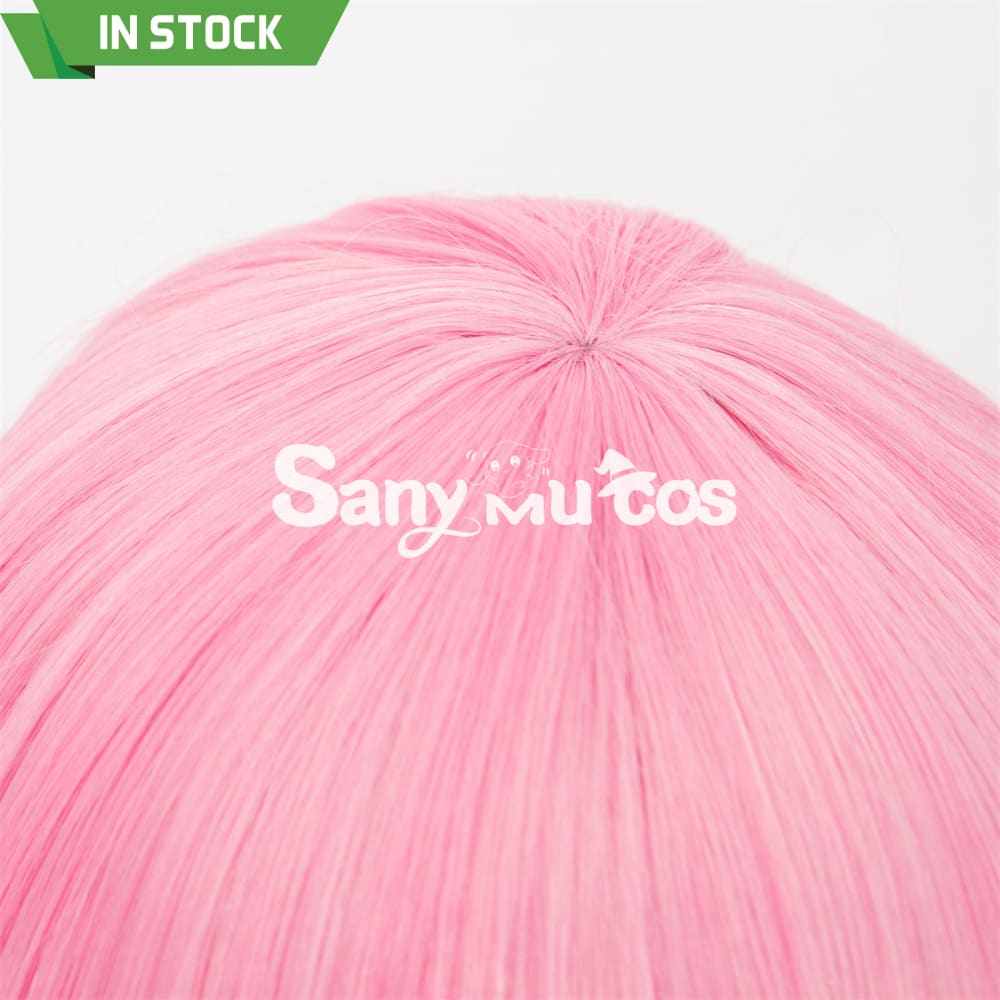 Anime Re Zero cosplay Rame cosplay wig