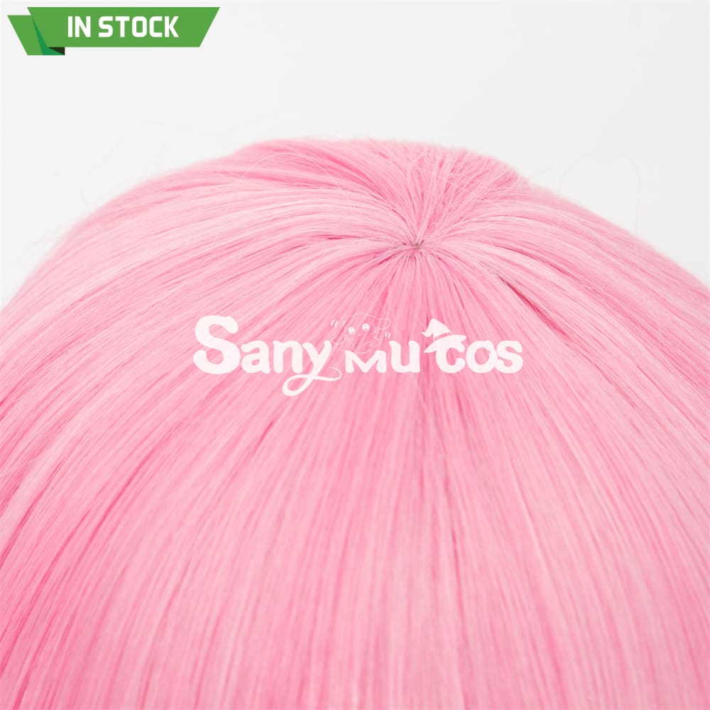 Anime Re Zero cosplay Rame cosplay wig