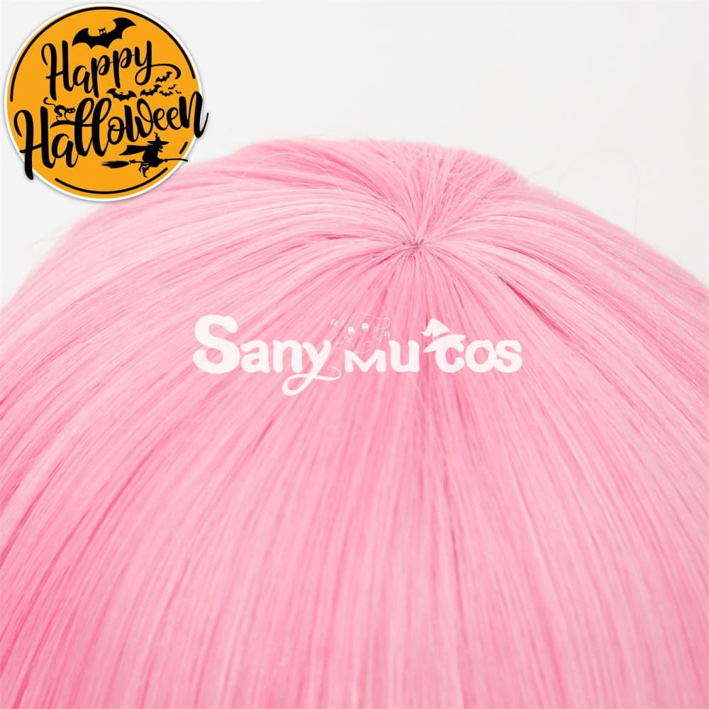 Anime Re Zero cosplay Rame cosplay wig