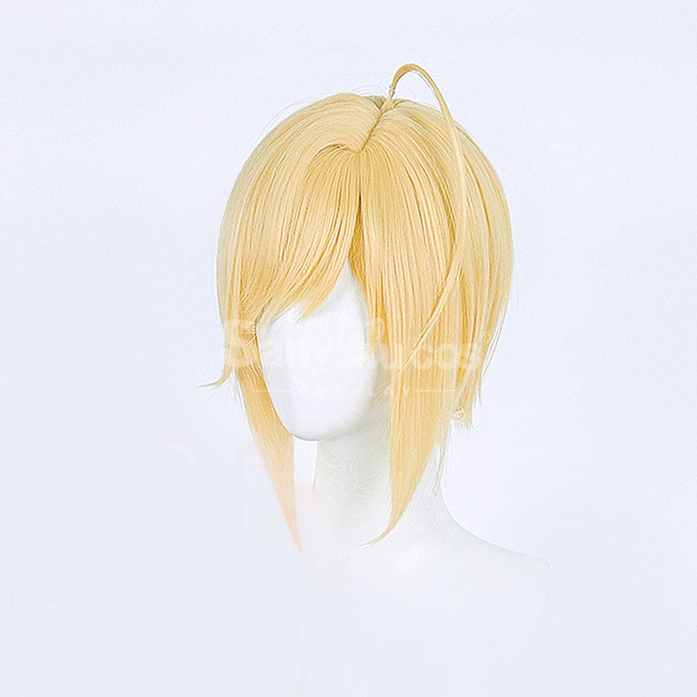 【In Stock】Anime Shugo Chara! Cosplay Hotori Tadase Cosplay Wig Cosplay Wigs
