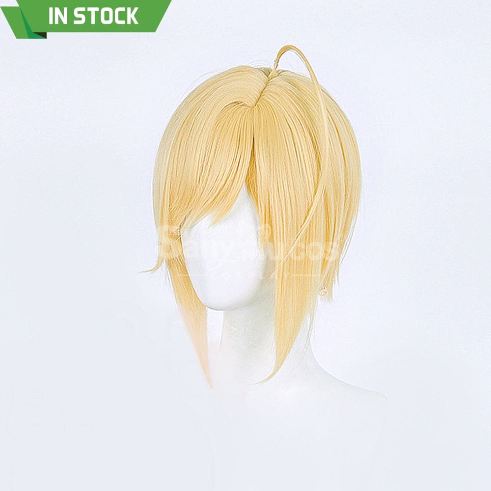 【In Stock】Anime Shugo Chara! Cosplay Hotori Tadase Cosplay Wig Cosplay Wigs