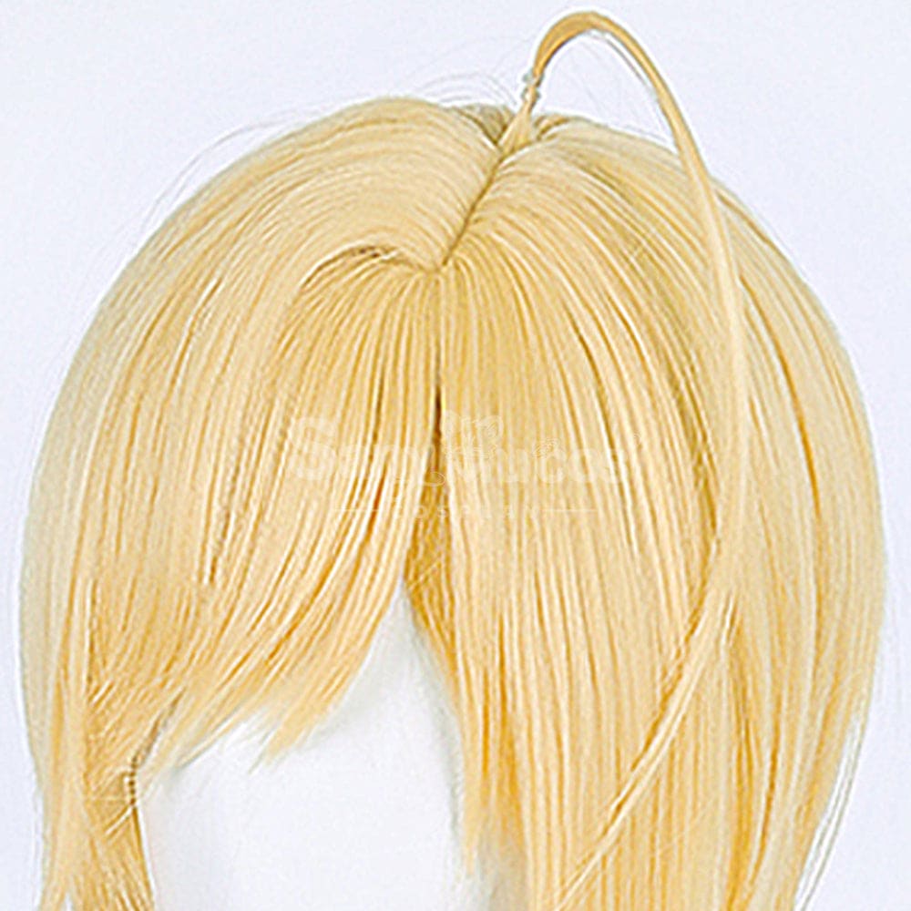 【In Stock】Anime Shugo Chara! Cosplay Hotori Tadase Cosplay Wig Cosplay Wigs