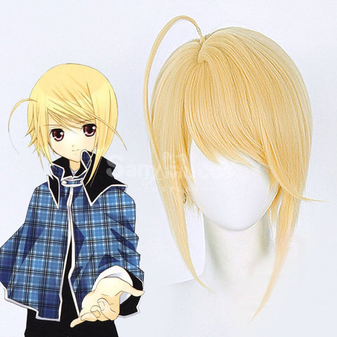 【In Stock】Anime Shugo Chara! Cosplay Hotori Tadase Cosplay Wig Cosplay Wigs