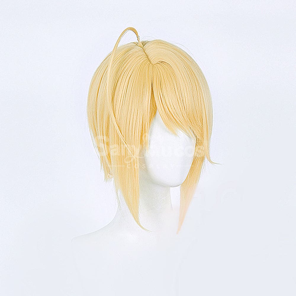 【In Stock】Anime Shugo Chara! Cosplay Hotori Tadase Cosplay Wig Cosplay Wigs