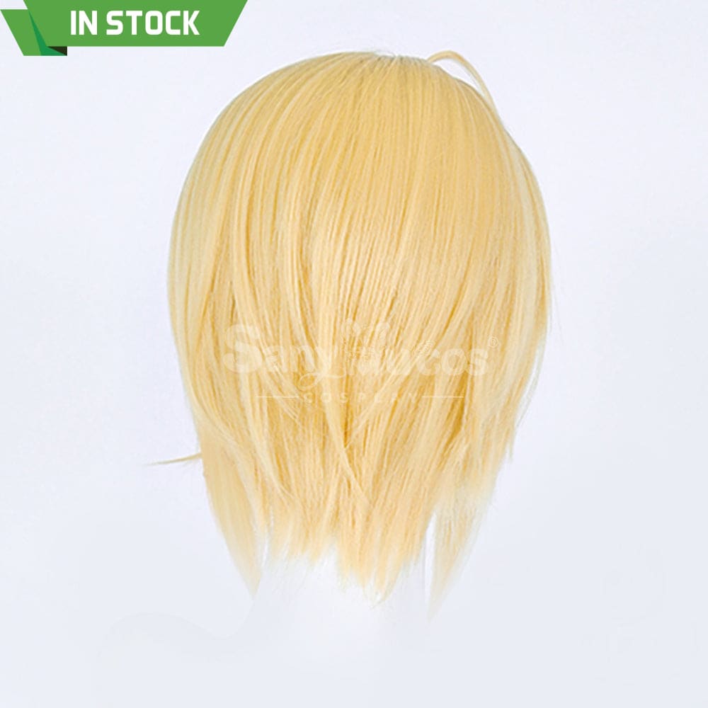 【In Stock】Anime Shugo Chara! Cosplay Hotori Tadase Cosplay Wig Cosplay Wigs