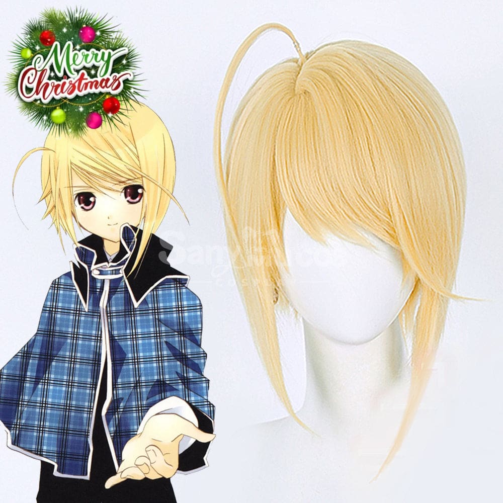 【In Stock】Anime Shugo Chara! Cosplay Hotori Tadase Cosplay Wig Cosplay Wigs