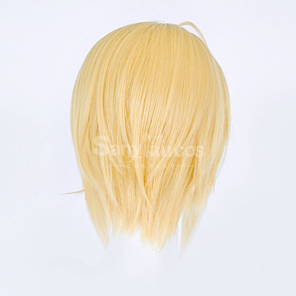 【In Stock】Anime Shugo Chara! Cosplay Hotori Tadase Cosplay Wig Cosplay Wigs