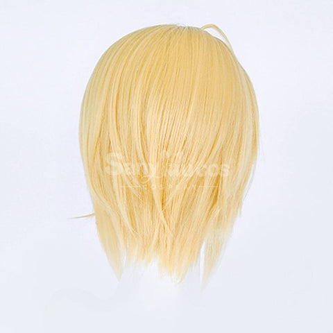 【In Stock】Anime Shugo Chara! Cosplay Hotori Tadase Cosplay Wig Cosplay Wigs