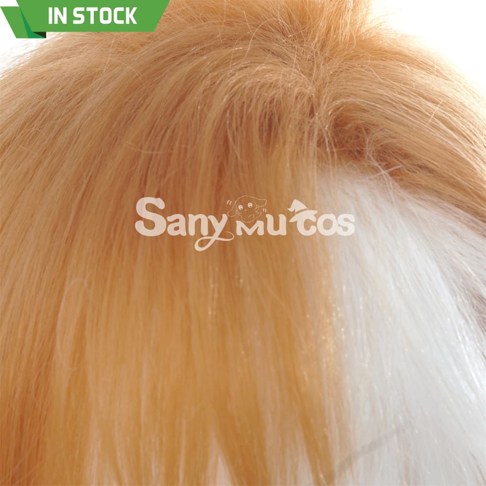 Game Genshin Impact Gorou Cosplay Wig