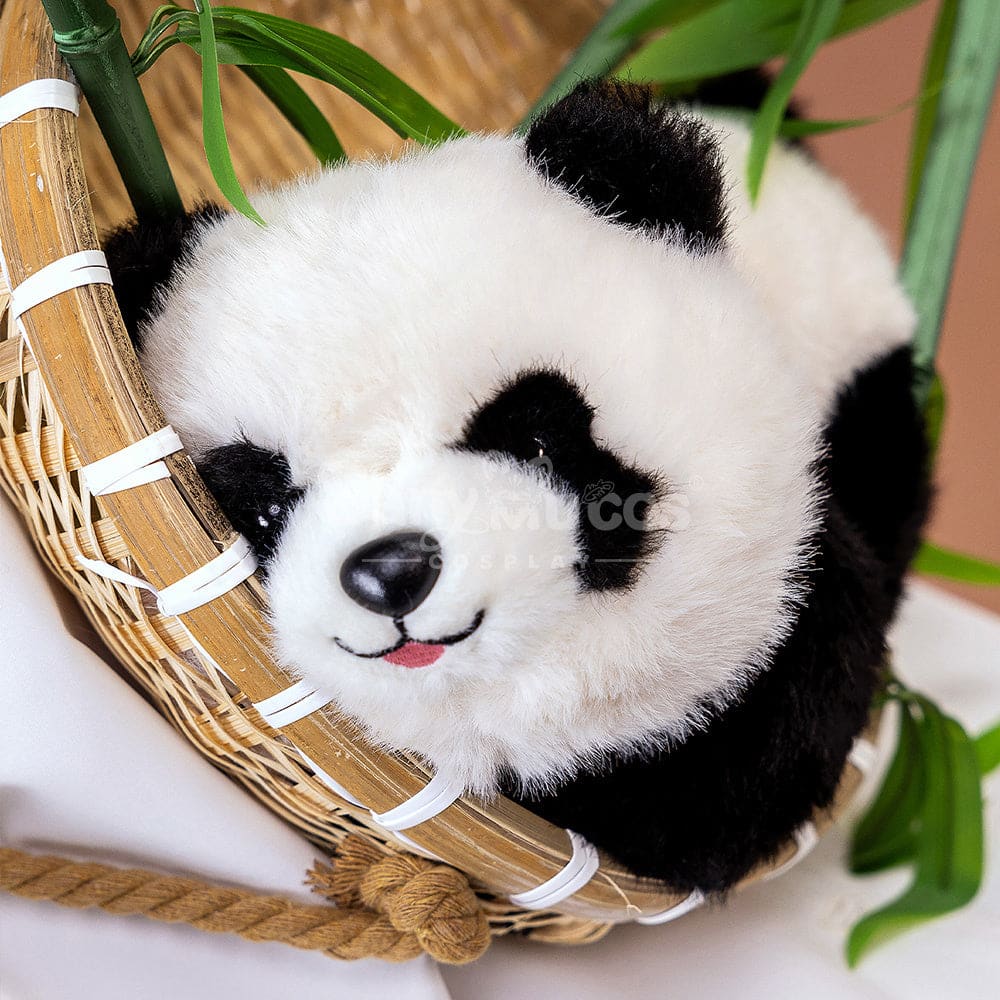 【In Stock】Game Identity Ⅴ Cosplay Anne Lester Cosplay Costume Cosplay Costumes