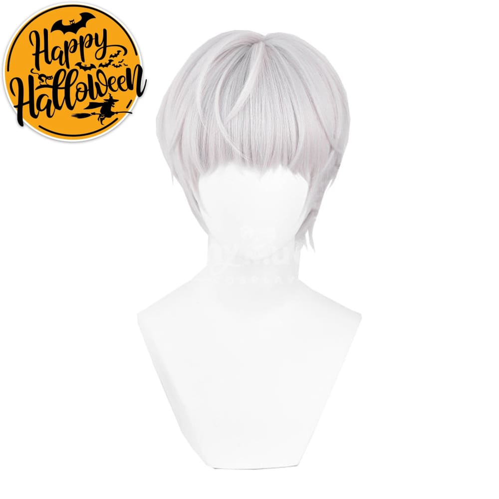 【In Stock】Game Light and Night Cosplay Qisili Cosplay Wig Cosplay Wigs