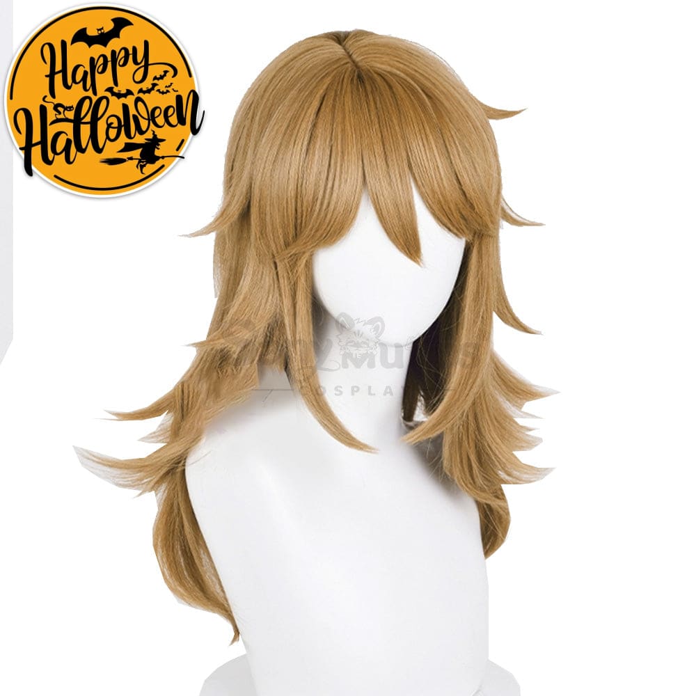 【In Stock】Game The Legend Of Zelda Cosplay Link Long Wig Wigs
