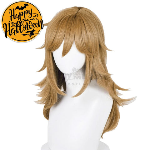 【In Stock】Game The Legend Of Zelda Cosplay Link Long Wig Wigs