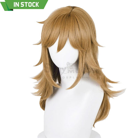 【In Stock】Game The Legend Of Zelda Cosplay Link Long Wig Wigs