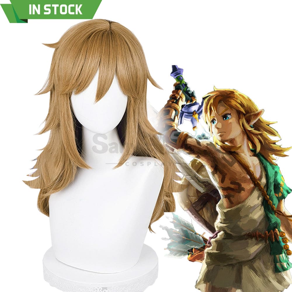 【In Stock】Game The Legend Of Zelda Cosplay Link Long Wig Wigs