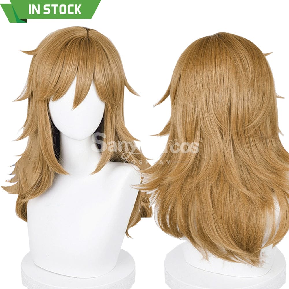 【In Stock】Game The Legend Of Zelda Cosplay Link Long Wig Wigs